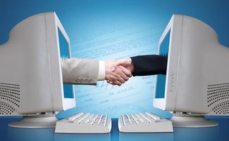 德国农产品电子商务 精细化运营与全链条服务的极致典范